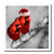 3D Rose Red Cardinal Birds in Santa Hat Winter Black and White Scene Iron On Heat Transfer 8 x 8,