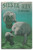 Lantern Press Siesta Key Florida Manatees -10x15 Wood Wall Sign Wall Decor Ready to Hang-
