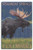 Lantern Press Steamboat Springs Colorado Moose at Night -10x15 Wood Wall Sign Wall Decor Ready to Hang- Lantern Press Steamboat Springs Colorado Moose at Night -10x15 Wood Wall Sign Wall Decor Ready to Hang-