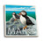 Lantern Press Maine Puffins Scene -Set of 4 Ceramic Coasters Cork-Backed Absorbent-