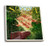 Lantern Press Sedona Arizona - Red Rock Country - Pathway and Red Rocks -Set of 4 Ceramic Coasters - Cork-Backed Absorbent-