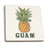 Lantern Press Guam Pineapple Icon 96393 -Set of 4 Ceramic Coasters Cork-Backed Absorbent-