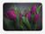 Lunarable Purple Tulip Bath Mat Flowers and Fresh Spring Leaves on Greyscale Ombre Background Plush Bathroom Decor Mat with Non Slip Backing 29.5" X 17.5" Purple Green Charcoal Grey