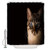 Ashasds Shower Curtain Animal Closeup - Big Blue Eye Cat Gaze Softly Aheads Curtain Polyester Water Fabric with 12 Hooks66 x 72 Inches