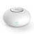 RIGOGLIOSO Mini Ozone Generator Deodorizer Air Purifier, USB Rechargeable Refrigerator Purifier Portable air Deodorizer for Small Space Clear Odor