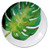 Merritt - Melamine Round Salad Plate - Tropical Leaf Monstera Palm - 8"