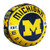 NCAA Michigan Wolverines Cloud to Go StylePillow Team Colors One Size