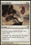 Magic The Gathering - Cursebreak -14- - Avacyn Restored