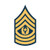 fagraphix E-9 Command Sergeant Major Insignia Sticker Decal Vinyl us Army FA Vinyl - 1.25 Wide