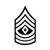 E-8 First Sergeant Rank Sticker - Decal - Die Cut - 1SG OR-8 E8 US Army - Matte Black 1.50" x 2.81"