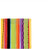 Amscan Fiesta Strip 7 in Plate