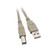 6 feet USB 2.0 Printer-Device Cable Beige Type A Male-Type B Male Plug A Male to B Male High Speed USB Cable USB 2.0 to Type B Cable Type B Printer Cable CableWholesale
