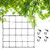 1 Pack Scrog Net Elastic Trellis Netting with Hooks for Tent Accessories Dual Layer Cucumber Trellis Net for 4x4 5x5 2x2 Trellis Net for Climbing Plants Vegetables Grow Fruits -Black-