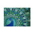 5D Diamond Painting feilin Peacock Diamond Painting Kit DIY Diamond Rhinestone Painting Kits for Adults and Beginner Embroidery Arts Craft Home Decor B 30x40cm