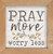P. GRAHAM DUNN Pray More Worry Less Floral Whitewash 7 x 7 Inch Pine Wood Framed Wall Art Plaque