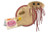 GIANT MICROBES E. coli -Escherichia coli- Plush Toy
