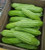 RubyShop724 10Se-e-ds Bitter Melon Bitter Gourd'' Ampalaya Se-e-ds