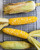 Ambrosia Sweet Corn S'EEDS  Untreated N O N-G M O Bicolor Colorful  G'row in Pot