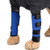 Gaorui Canine Dog Hock Brace Rear Leg Joint Wrap Protects Dog Rear Leg Braces Rehab Knee Protector Heals and Prevents Injuries and Sprains Helps with Loss of Stability Caused by Arthritis 1 Pair Blue Gaorui Canine Dog Hock Brace Rear Leg Joint Wrap Protects Dog Rear Leg Braces Rehab Knee Protector Heals and Prevents Injuries and Sprains Helps with Loss of Stability Caused by Arthritis 1 Pair Blue