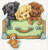 Design Works Crafts Counted Cross Stitch Kit White