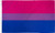 Bi Pride Flag Bisexual Banner Gay Lesbian LGBT 3x5 Rainbow Festival Pennant