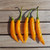 RubyShop724 Aji Mango Pepper 10 S-e-EDS
