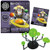 TEDCO EIN-O's Space Science- Solar System Box Kit