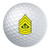 USAMM Army E-9 Command Sergeant Major Rank White Golf Ball Gift Set of 3