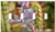 Switch Plate 4 Gang Toggle - Cactus Spur Blossom Bloom Bloom Green Prickly 7