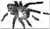 Switch Plate 4 Gang Toggle - B W Creepy Insect Spider Tarantula