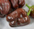 LGKO 25 Premium Fresh Hand Selected Sweet Chocolate Beauty Bell Pepper S-e-e-d-s-A