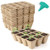 GROWNEER 36 Packs Peat Pots Seed Starter Trays 432 Cells Biodegradable Seedling Pots Germination Trays Organic Plant Starter Kit with 15 Pcs Plant Labels