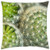 LESGAULEST Throw Pillow Cover -18x18 inch- - Cactus Plant Macro Green Nature Succulent Cacti