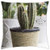 LESGAULEST Throw Pillow Cover -18x18 inch- - Succulent Pikes Pot Plant Sharp Cactus Green