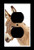 Single Duplex -2-plug- Outlet Wall Plate Cover - Baby Donkey - Donkeys Mules Burros