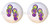 SET OF 2 KNOBS - Summer Beach Flip Flops - Beach - DECORATIVE Glossy CERAMIC Cupboard Cabinet PULLS Dresser Drawer KNOBS
