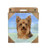 E and S Imports Ceramic Coaster - Yorkshire Terrier-Yorkie- -1-