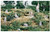 Woodland Scenics WS 31 Cut Stumps - 14