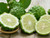 10S-e-e-ds Kaffir Lime S-e-e-ds Lemon S-e-e-d