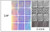 12 Sheets-set 24 Different Hollow Irregular Stencils Nail Vinyls Laser 3D Image Transfer Guide Template Nail Art Hollow Sticker -14-