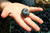 LGKO Blueberry 50 S-E-E-D-S