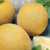 Melon 40 S.e.e.ds Lesya Heirloom S.e.e.ds Early