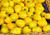 Tomato 50 S.e.e.ds Golden Strem Heirloom S.e.e.ds