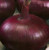 Onion 200 S.e.e.ds Brown Schweiger Heirloom S.e.e.ds
