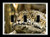 Triple Toggle -3-toggle- Light Switch Plate Cover - African Wildlife Safari Animals - Africa Leopard