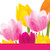 Creative Converting 18 Count Beverage Napkins Tulip Time