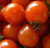 LGKO Small Red Cherry Tomato S-e-e-d~s