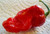 LGKO 7 Pod Red Jigsaw Hot Pepper S-e-ed-s