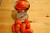 LGKO Opalka Tomato S-e-e-d~s