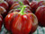 LGKO Super Pimento Red Pepper S-e-ed-s